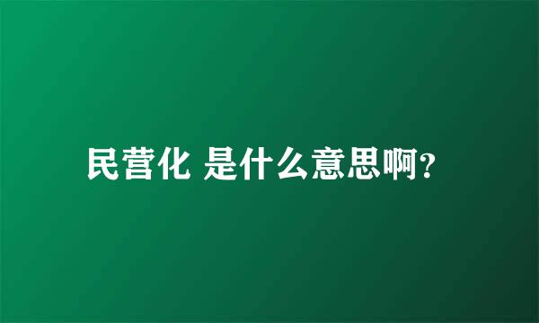 民营化 是什么意思啊？