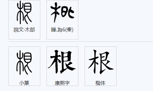 根字 怎么 组词