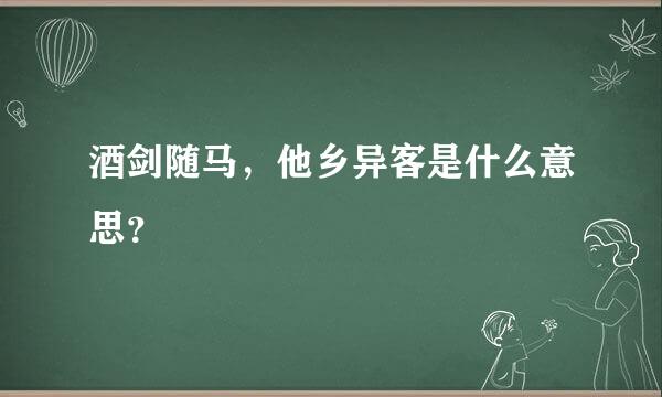 酒剑随马，他乡异客是什么意思？