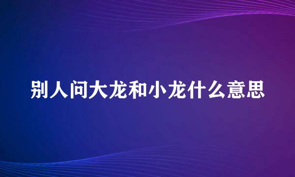 别人问大龙和小龙什么意思