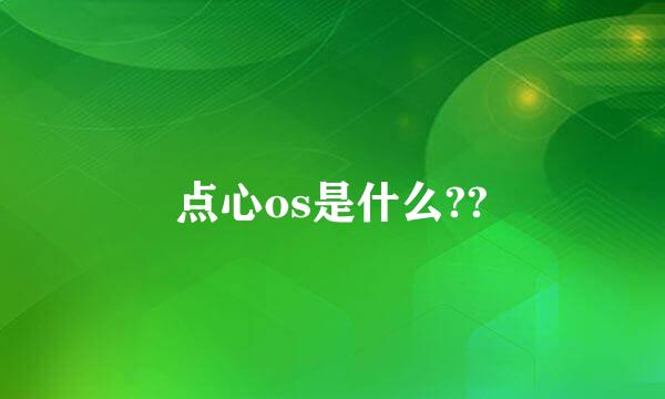 点心os是什么??