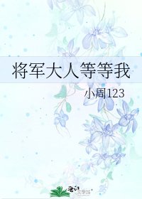 《将军大人等等我》txt全集下载