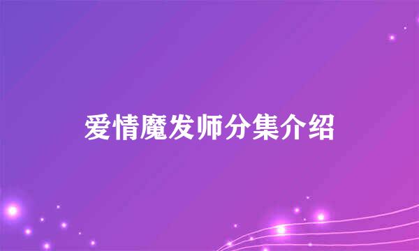 爱情魔发师分集介绍