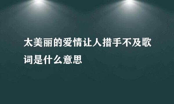 太美丽的爱情让人措手不及歌词是什么意思