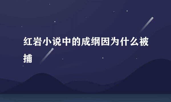 红岩小说中的成纲因为什么被捕