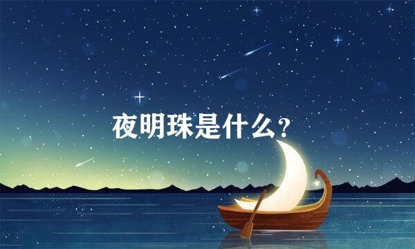 夜明珠是什么？