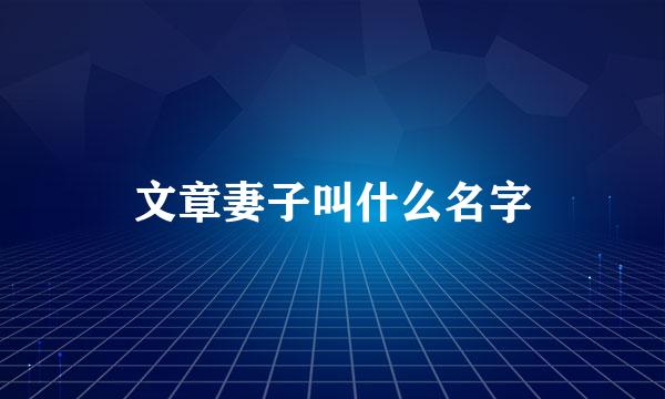 文章妻子叫什么名字