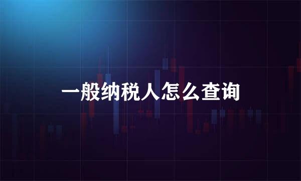 一般纳税人怎么查询