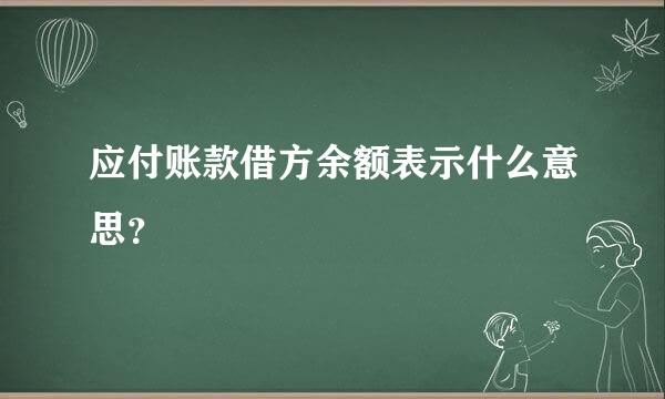 应付账款借方余额表示什么意思？