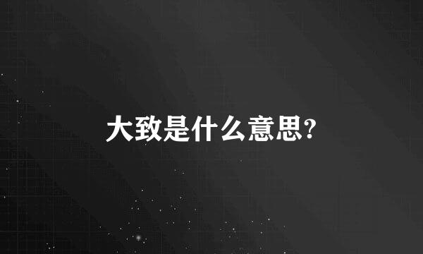 大致是什么意思?