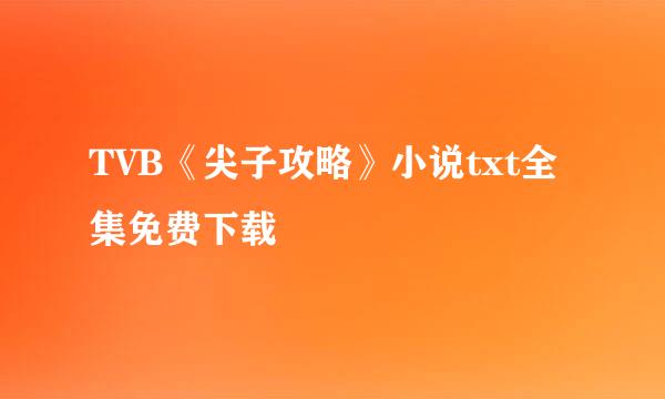 TVB《尖子攻略》小说txt全集免费下载