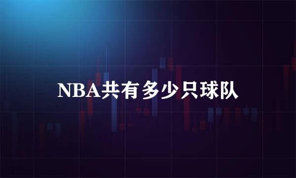 NBA共有多少只球队