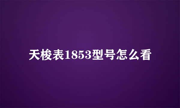 天梭表1853型号怎么看