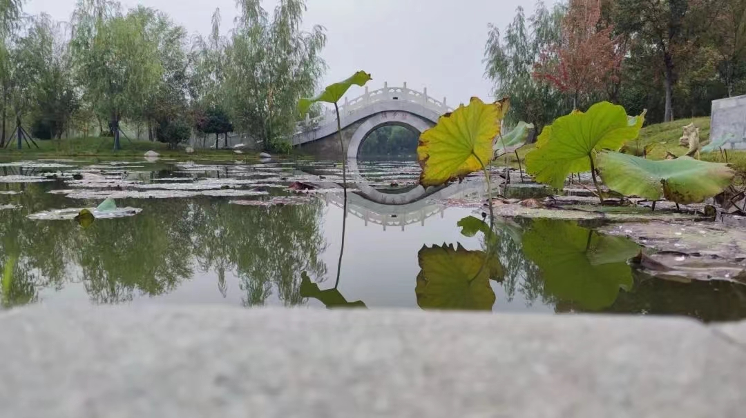 河南中医药大学好不好