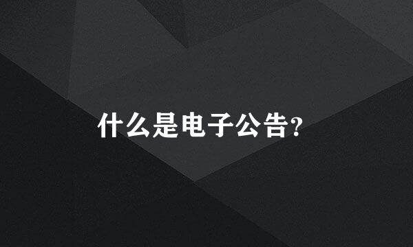 什么是电子公告？