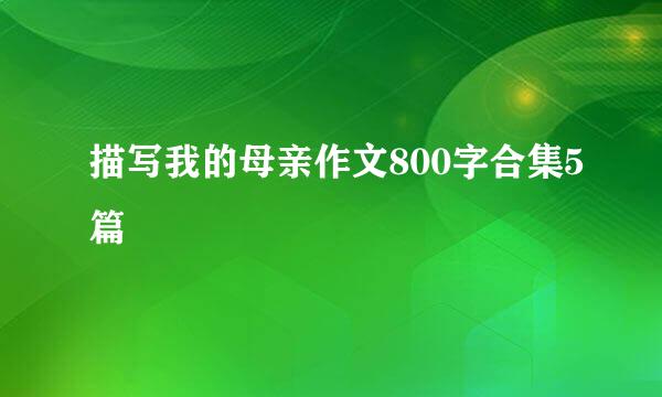 描写我的母亲作文800字合集5篇