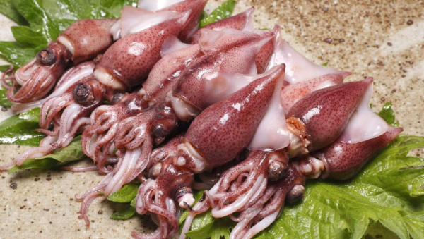 章鱼和鱿鱼有什么区别?