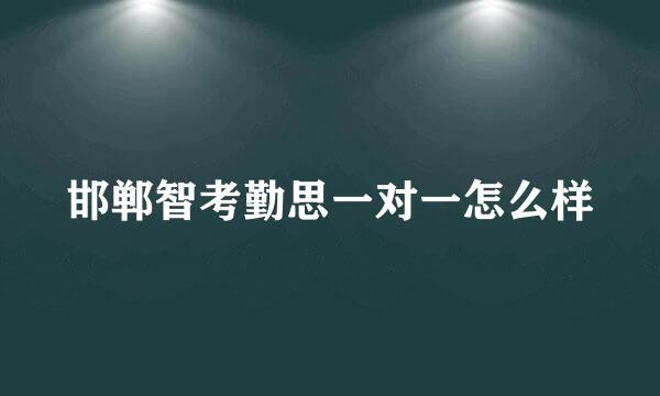 邯郸智考勤思一对一怎么样