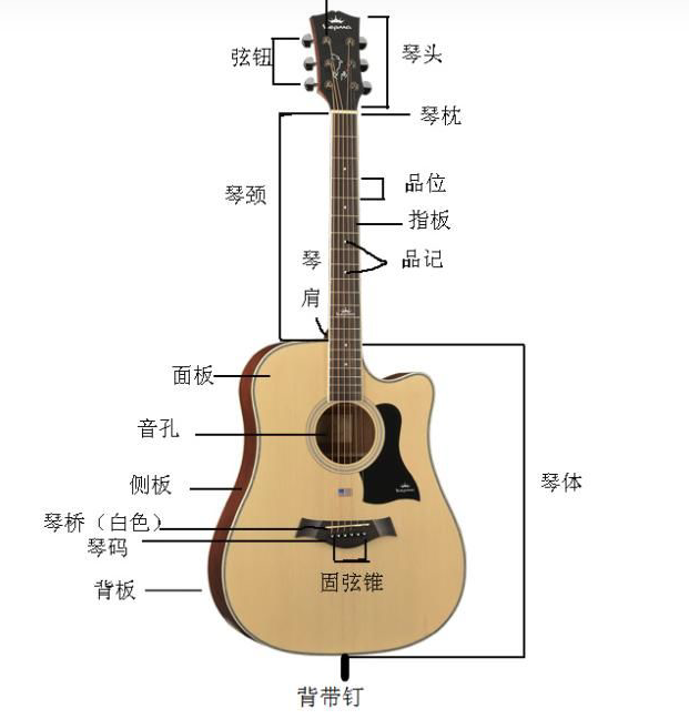 学习吉他的步骤