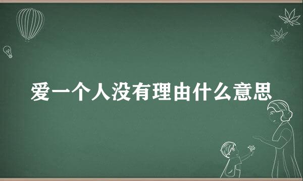 爱一个人没有理由什么意思