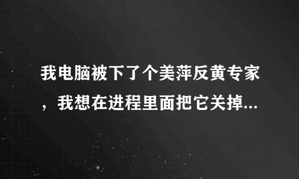 我电脑被下了个美萍反黄专家，我想在进程里面把它关掉，有谁知道它的进程名字叫什么啊？谢谢！