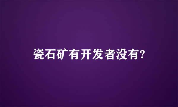 瓷石矿有开发者没有?