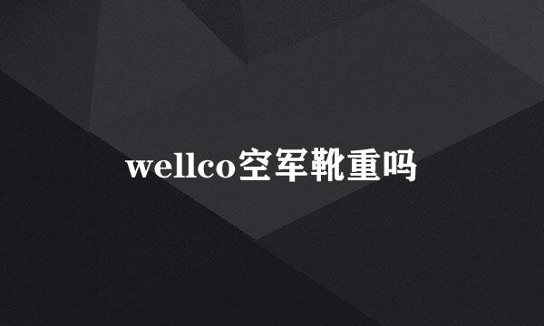 wellco空军靴重吗