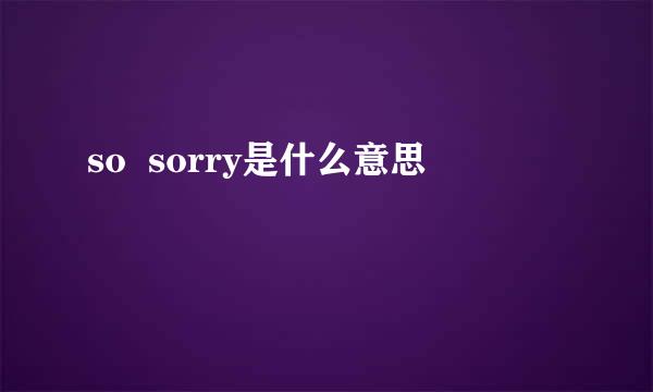 so  sorry是什么意思