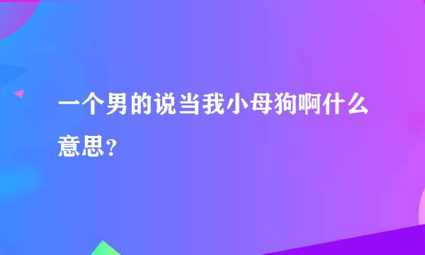 一个男的说当我小母狗啊什么意思？