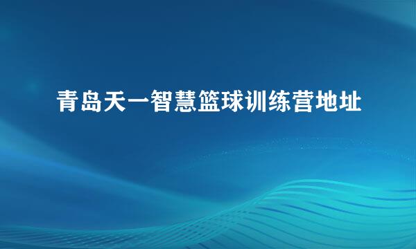 青岛天一智慧篮球训练营地址