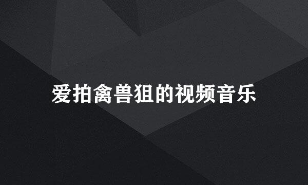 爱拍禽兽狙的视频音乐