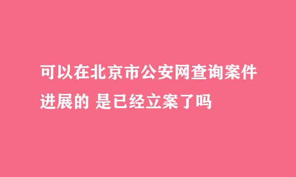 可以在北京市公安网查询案件进展的 是已经立案了吗