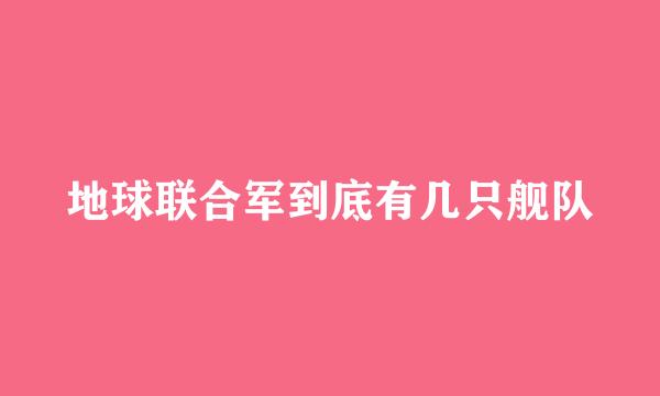 地球联合军到底有几只舰队