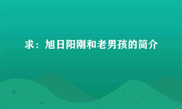 求：旭日阳刚和老男孩的简介