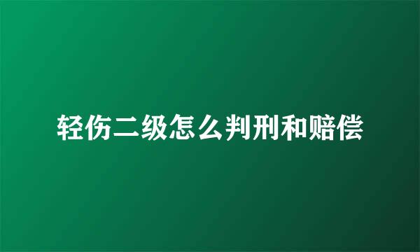 轻伤二级怎么判刑和赔偿