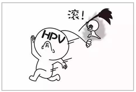 hpv52阳性代表什么