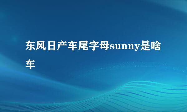 东风日产车尾字母sunny是啥车