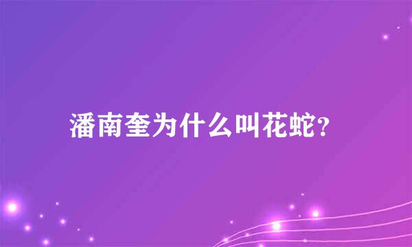 潘南奎为什么叫花蛇？