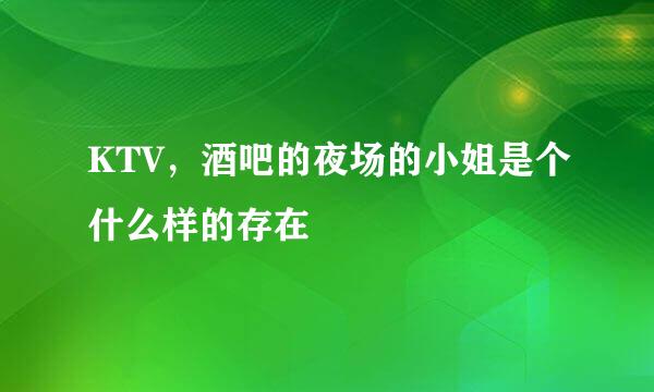 KTV，酒吧的夜场的小姐是个什么样的存在