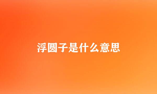 浮圆子是什么意思