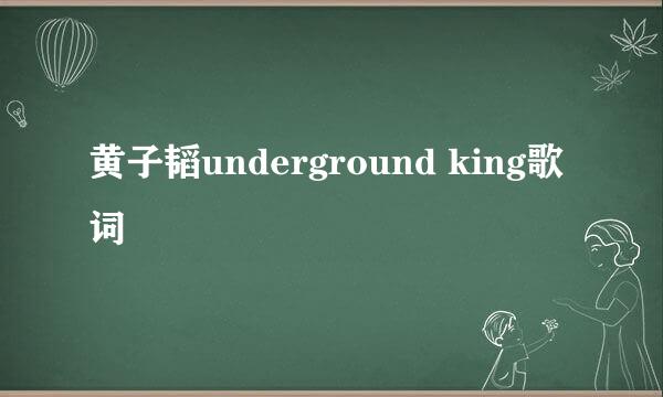 黄子韬underground king歌词
