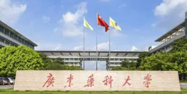 广东省大学排名