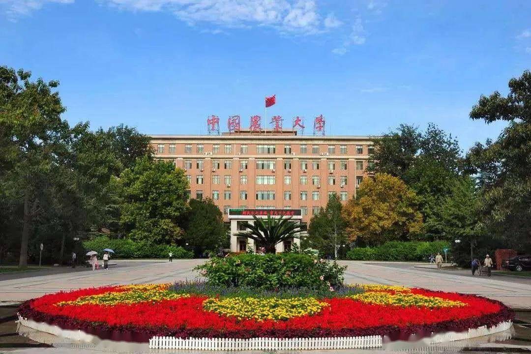 cau是哪个大学