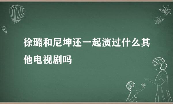 徐璐和尼坤还一起演过什么其他电视剧吗