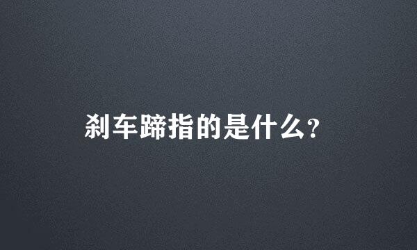 刹车蹄指的是什么？