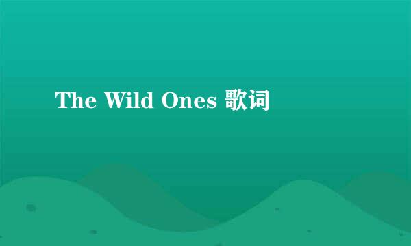 The Wild Ones 歌词