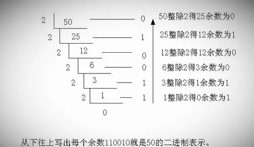 八进制数是什么呢?