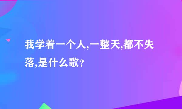 我学着一个人,一整天,都不失落,是什么歌？