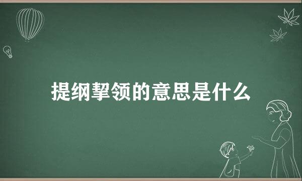 提纲挈领的意思是什么