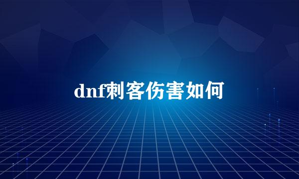 dnf刺客伤害如何